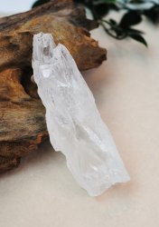 Lemurian Roots, Code of Freedom XL