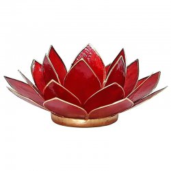 Ljus, Lykta Lotus