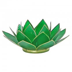Ljus, Lykta Lotus