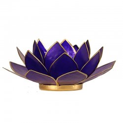 Ljus, Lykta Lotus