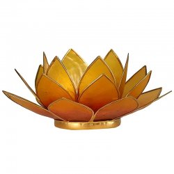 Ljus, Lykta Lotus