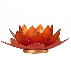 Ljus, Lykta Lotus