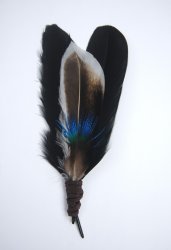 Smudge feather, Handmade