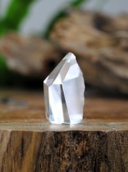 Lemurian, Fantom