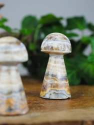 Jasper, Landscape Mushroom