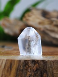 Lemurian, Fantom