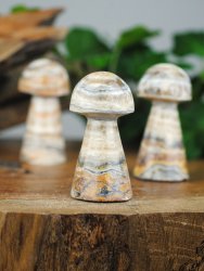 Jasper, Landscape Mushroom