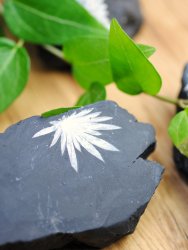 Chrysanthemum stone, Half Polished XL