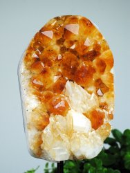Citrine, Burned Cluster on stage XL