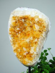 Citrine, Burned Cluster on stage XL