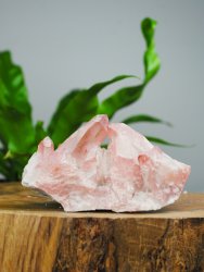 Lemurian, Rosa Kluster