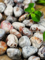Agate, Crazy Lace Tumbled Big Pack