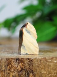 Amphibiolkvarts, Spets