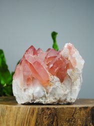 Lemurian, Rosa Kluster XXL