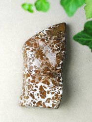 Agate, Brown, Free form XL