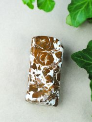 Agate, Brown, Free form