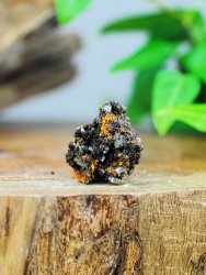 Wulfenite, on Matrix