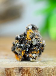 Wulfenite, on Matrix