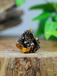 Wulfenite, on Matrix