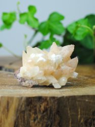 Calcite, Dogtooth Cluster
