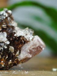 Apatite, Pink on Matrix