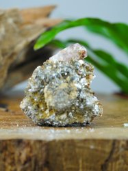 Apatite, Pink on Matrix