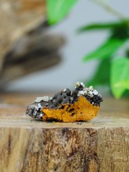 Wulfenite, on Matrix