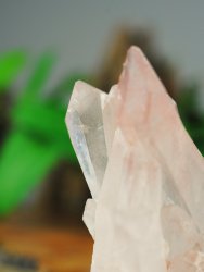 Lemurian, Rosa Kluster
