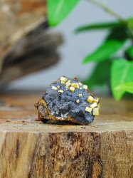 Wulfenite, on Matrix