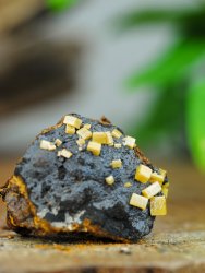 Wulfenite, on Matrix