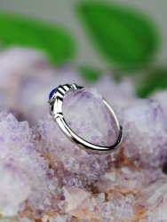 Lapis Lazuli, Ring