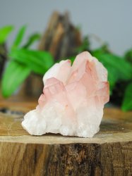 Lemurian, Rosa Kluster