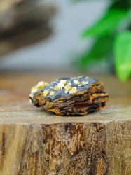 Wulfenite, on Matrix