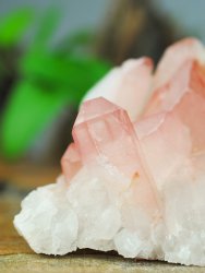 Lemurian, Rosa Kluster