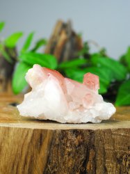 Lemurian, Rosa Kluster