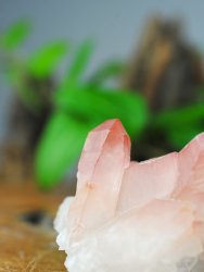 Lemurian, Rosa Kluster
