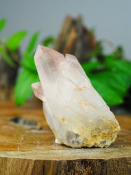 Lemurian, Rosa Kluster