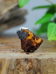 Wulfenite, on Matrix