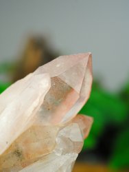 Lemurian, Rosa Kluster