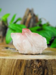 Lemurian, Rosa Kluster