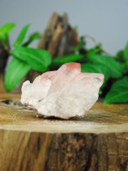 Lemurian, Pink Cluster