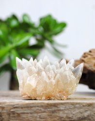 Calcite, Dogtooth Cluster