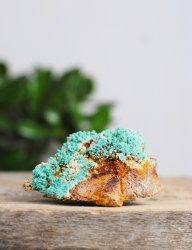 Aragonite, Blue Vera cruz Cluster EQ