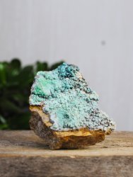 Aragonite, Blue Vera cruz Cluster EQ Large