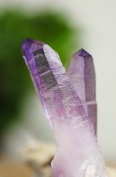 Ametist, Vera cruz Kluster på Matrix HK