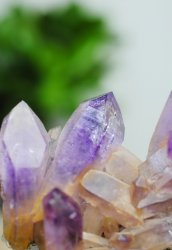 Ametist, Vera cruz Kluster på Matrix HK