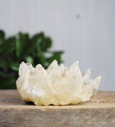 Calcite, Dogtooth Cluster