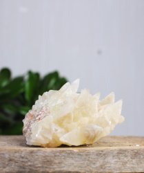Calcite, Dogtooth Cluster