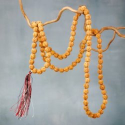 Mala Halsband Rudraksha ECO