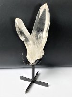 Lemurian, Cluster XL with Pin